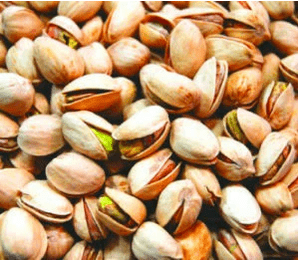 पिस्ता